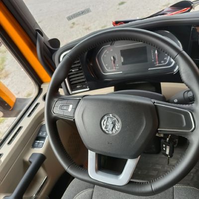 SX33195D406 Shaanxi Automobile Delong 8X4 12 wiel mijnbouw dumptruck 470HP transportwagen